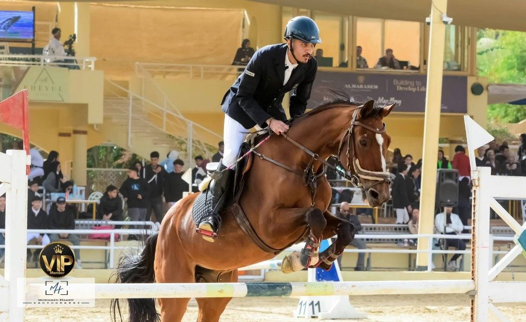 Competitive show jumping at outdoor arena