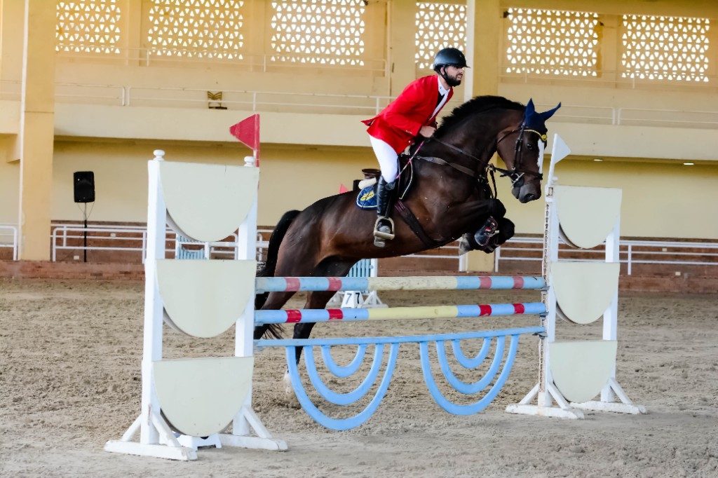 Indoor arena show jumping training